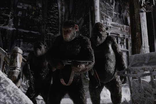 Der Planet der Affen 3 - Survival - Szenenbild 2