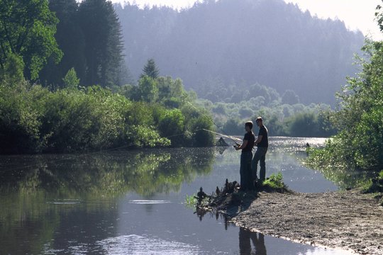 Redwoods - Szenenbild 6