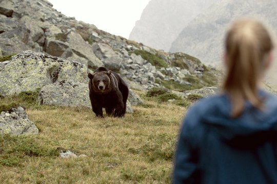 Clara und das Geheimnis der Bären - Szenenbild 7