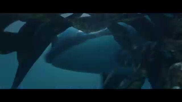 Killer Whale - Trailer - Deutsch - SD
