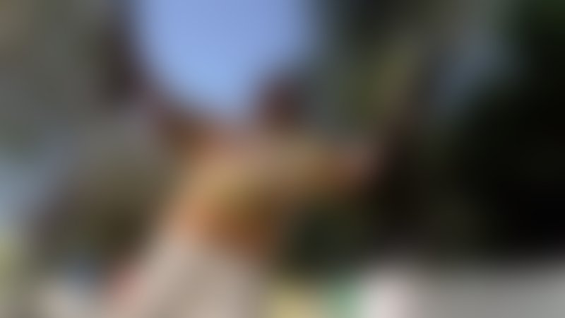 Poolboy - Trailer - Deutsch - SD