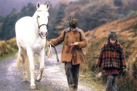 Das weiße Zauberpferd - Szenenbild 2