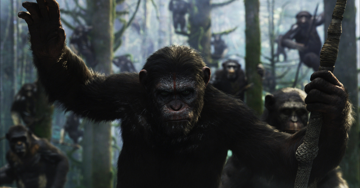 Nimm dich in in Acht, Homo sapiens, die Primaten kommen! 'Planet der Affen - Revolution' (USA 2014) © 20th Century Fox