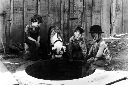 Die kleinen Strolche - 1930-1934 - Szenenbild 3