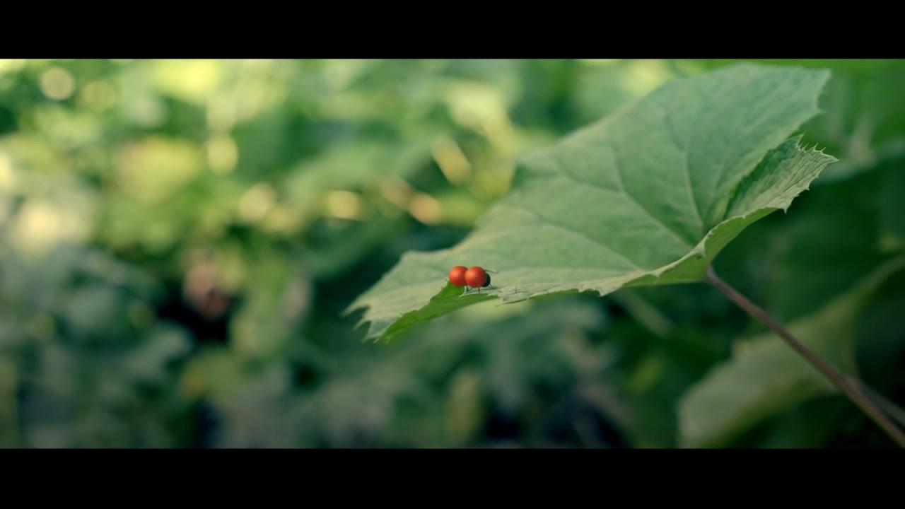 Die Winzlinge - Operation Zuckerdose - Trailer - Deutsch - HD
