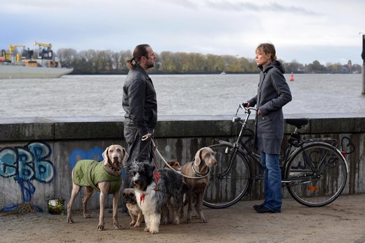 was uns nicht umbringt film was uns nicht umbringt film