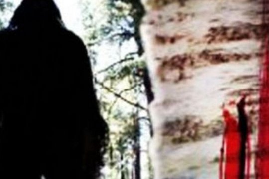 Devil on the Mountain - Szenenbild 1