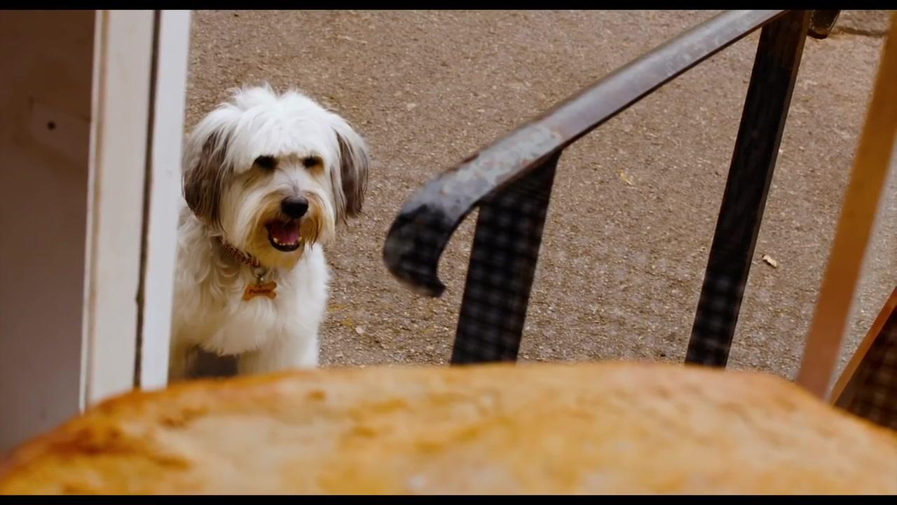 Pudsey - Trailer - Englisch - HD