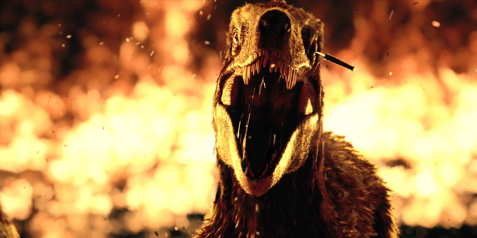 Primitive War