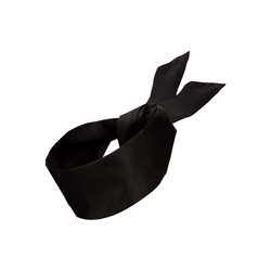 Silky Blindfold
