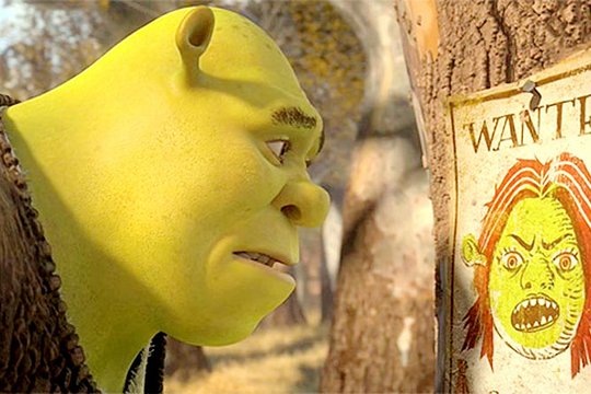 Shrek 4 - Für immer Shrek - Szenenbild 4