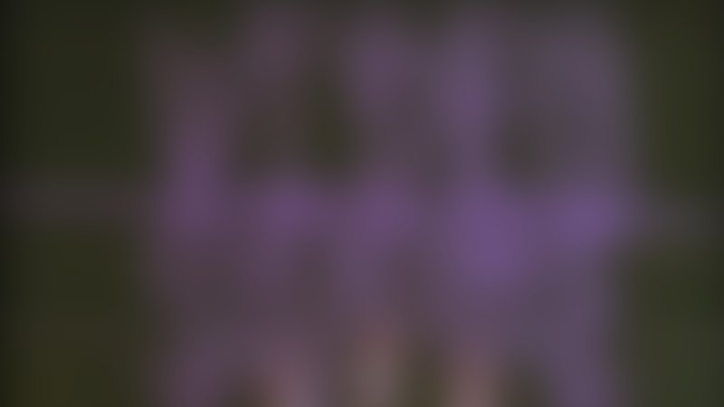 Videodrome - Teaser - Englisch - SD