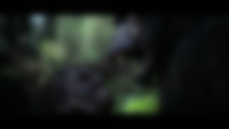 Creature - Die Legende vom Monster aus dem Sumpf - Trailer - Deutsch - SD