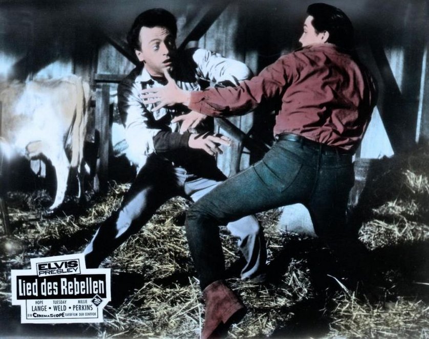 Wild in the Country DVD oder Bluray leihen VIDEOBUSTER.de