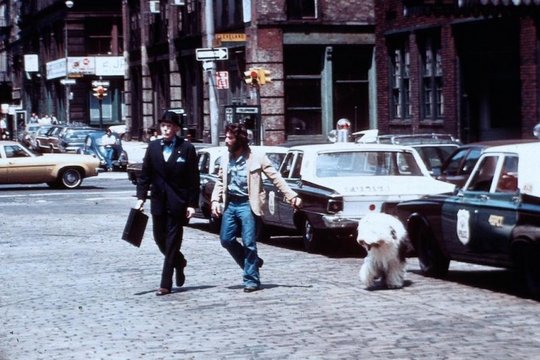 Serpico - Szenenbild 5