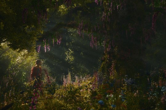 Der Wunderweltenbaum - Szenenbild 15