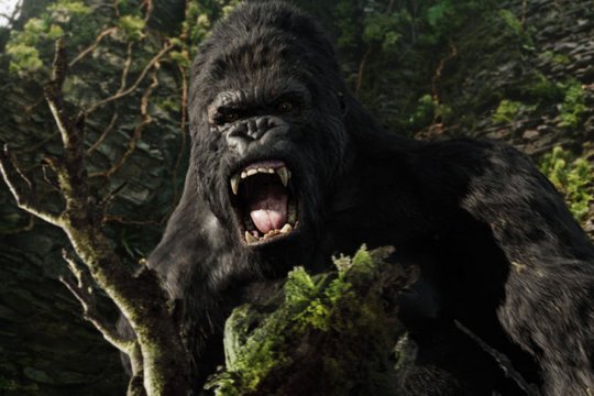 King Kong - Szenenbild 4