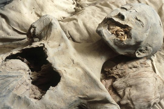 Nofretete und das Geheimnis der Mumie - Szenenbild 1