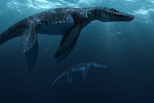 IMAX - Sea Rex 3D - Szenenbild 3