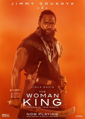 The Woman King - Poster 11