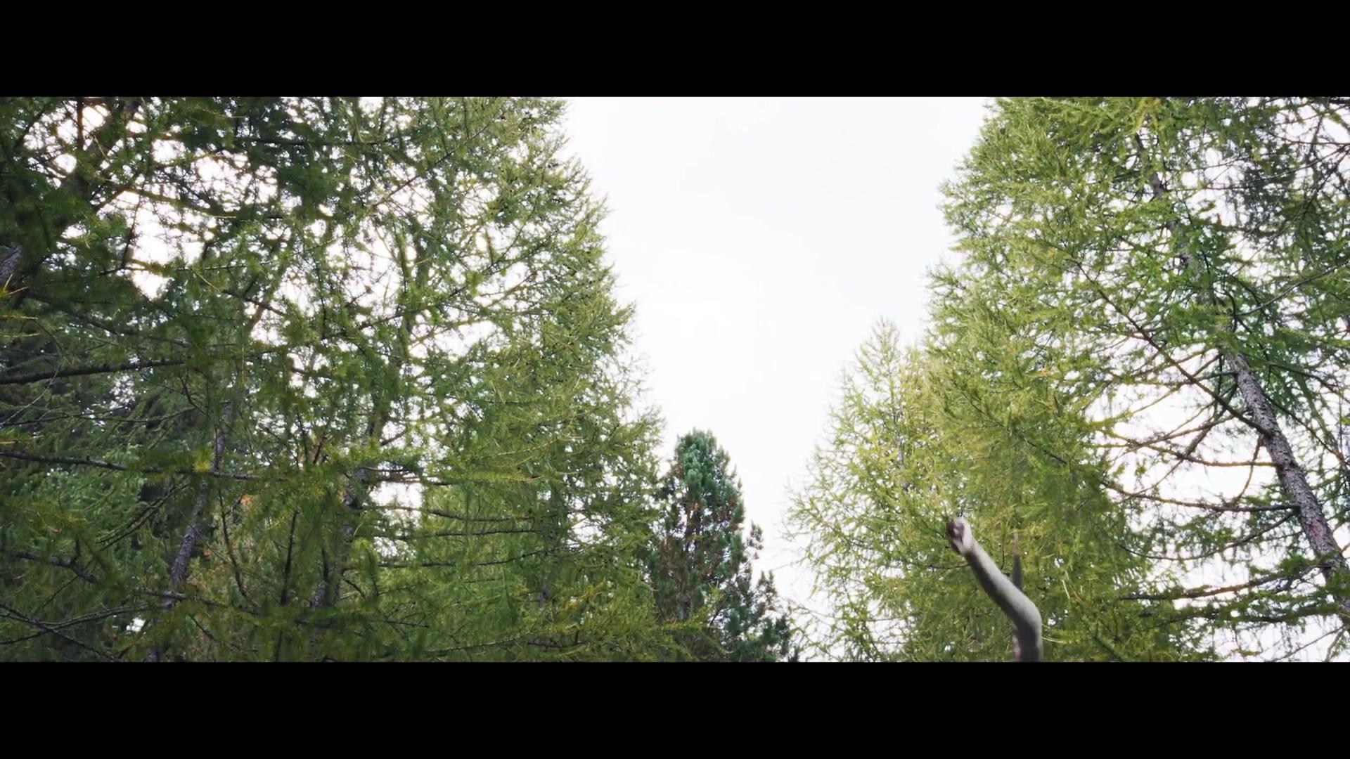 Woodwalkers 2 - Trailer - Deutsch - HD