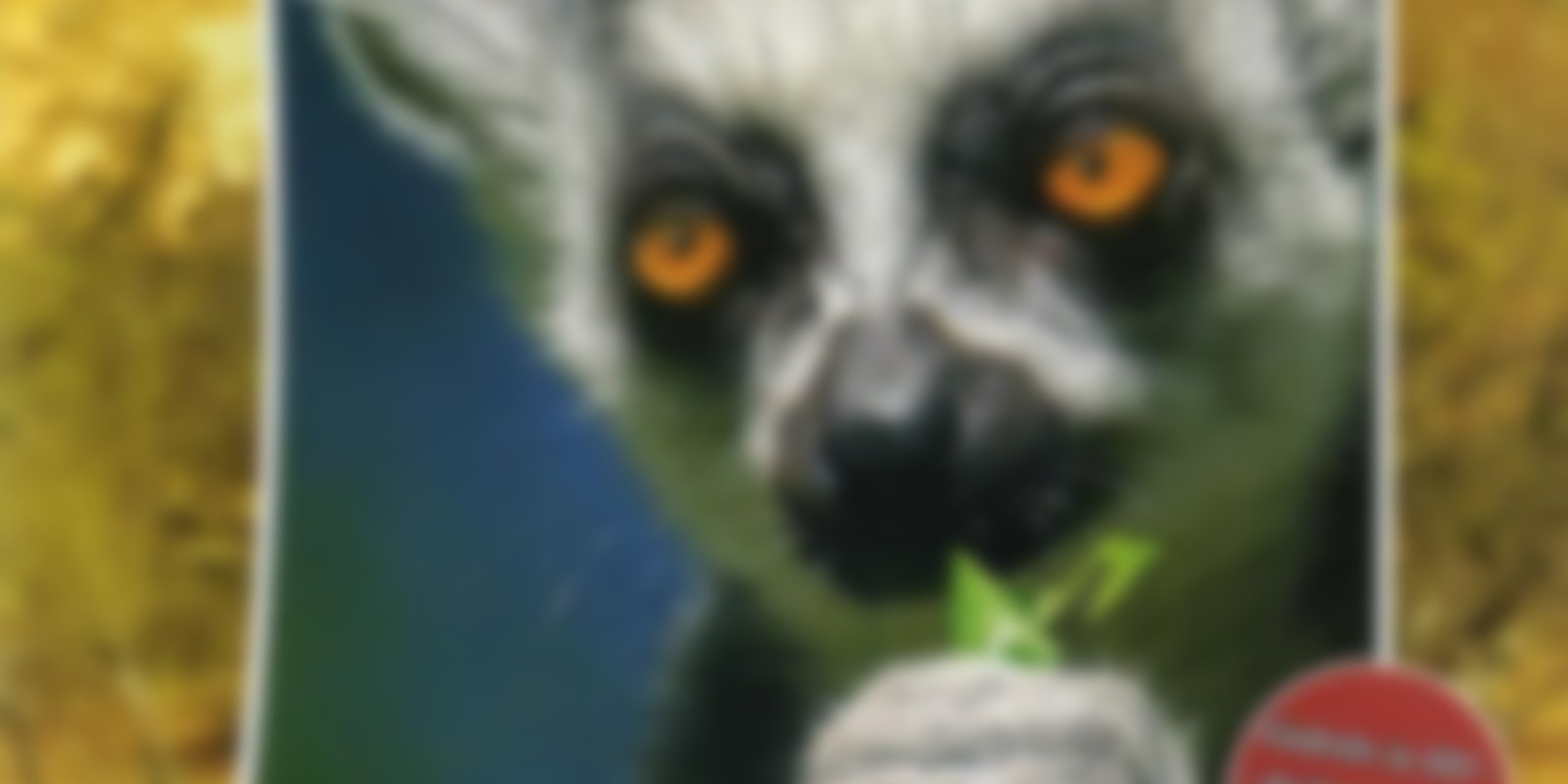 Die schönsten Naturreisen der Welt - Madagaskar & Lemuren erleben