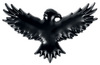 Black Premium by EMP Black Crow powered by EMP (Button)