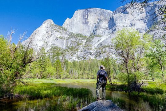 Marry me in Yosemite - Natürlich verliebt - Szenenbild 3
