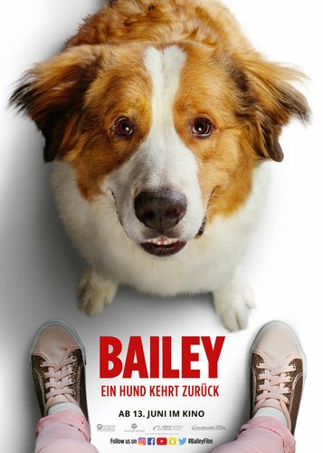 Bailey 2 - Ein Hund kehrt zurück - Poster 2