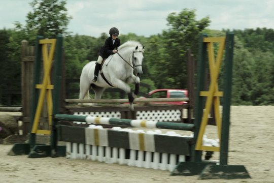 Mein Pferd und ich - Szenenbild 1