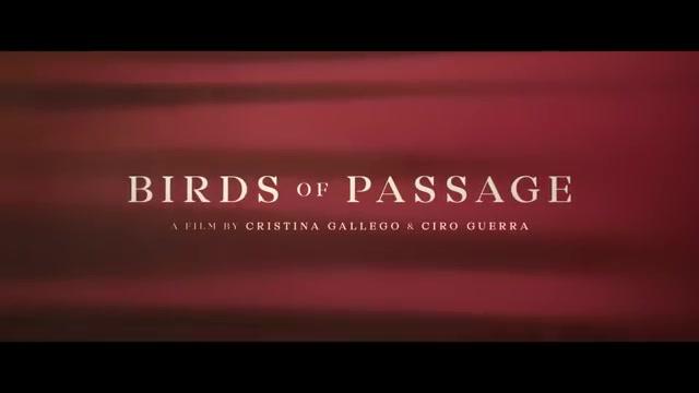 Birds of Passage - Trailer - Englisch - SD