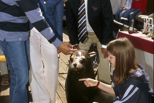 Hallo Robbie! - Staffel 4 - Szenenbild 6
