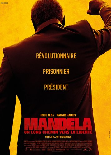 Mandela - Der lange Weg zur Freiheit - Poster 10