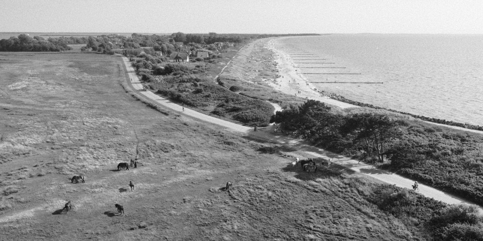 Hiddensee