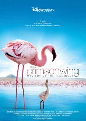 Das Geheimnis der Flamingos - Poster 2