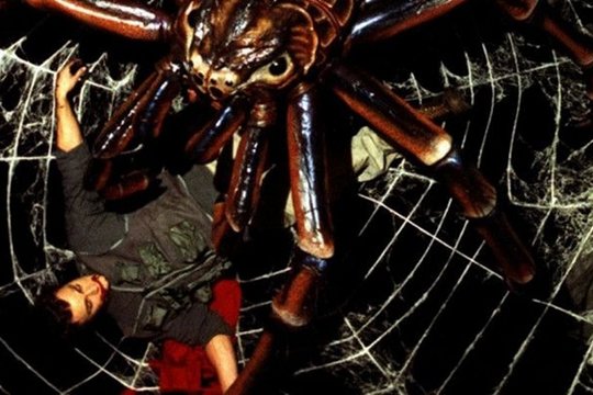 Spiders - Szenenbild 6