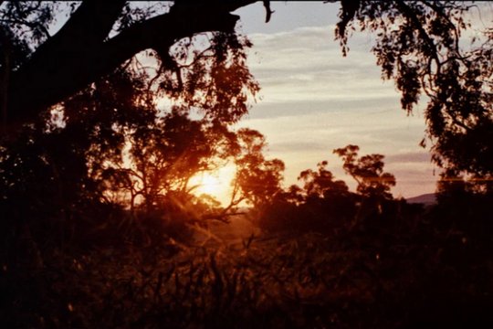 Mad Dog Morgan - Szenenbild 1