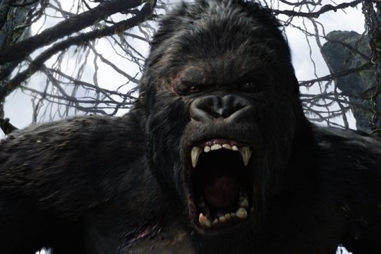 King Kong - Szenenbild 15