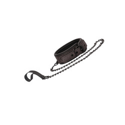 Elegant Collar with Leash