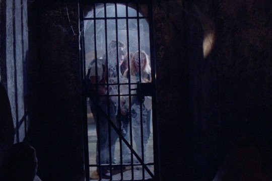 Graveyard Disturbance - Die Gruft - Szenenbild 3