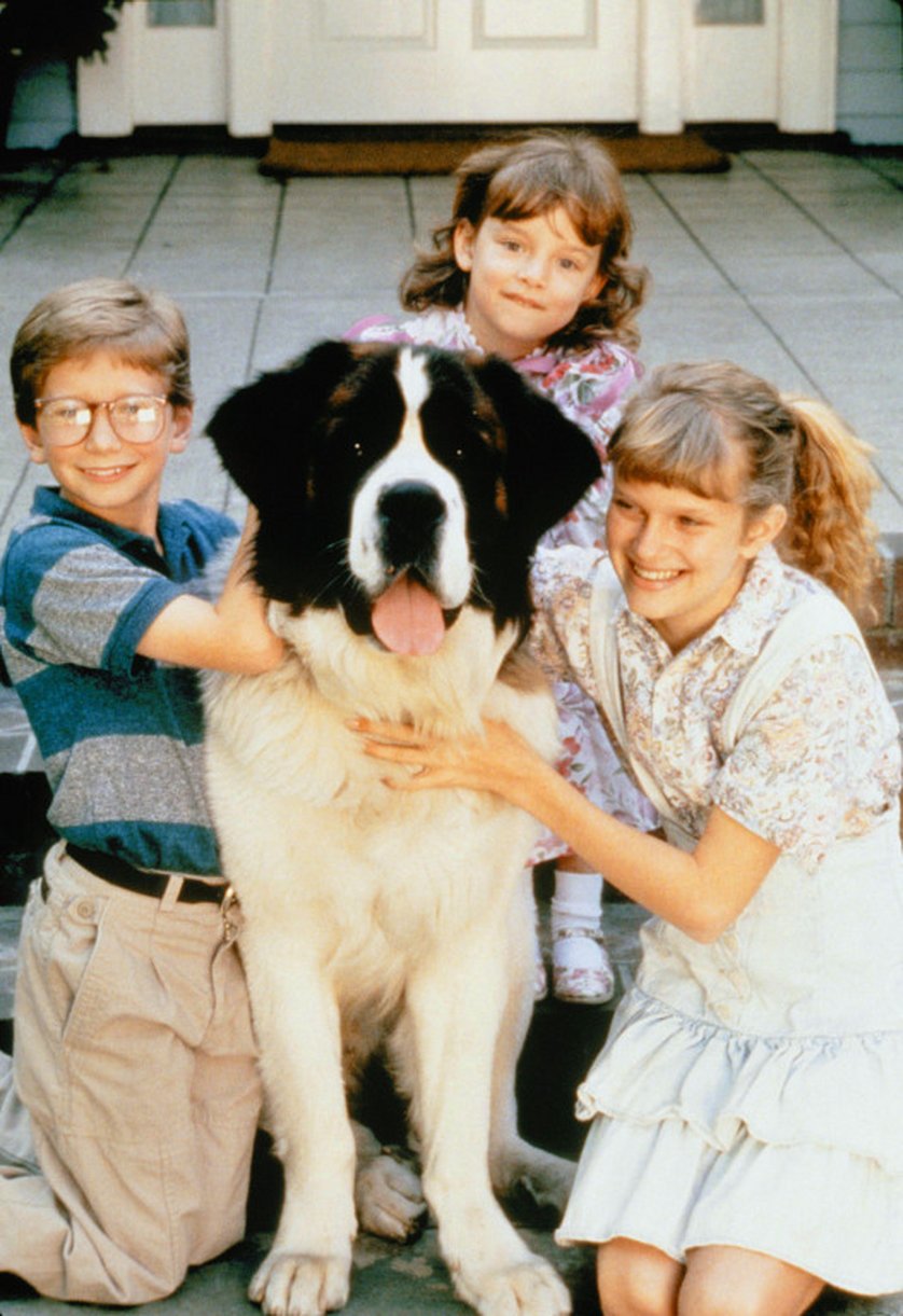 Ein Hund namens Beethoven DVD oder Bluray leihen VIDEOBUSTER.de