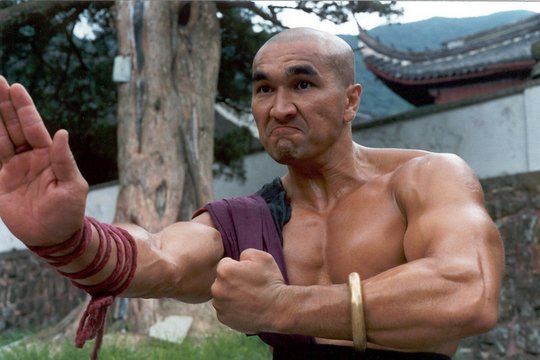 Karate Tiger 5 - American Shaolin - Szenenbild 4