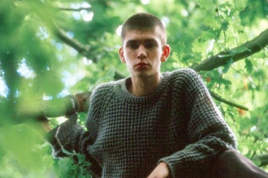 My Brother Tom - Szenenbild 1