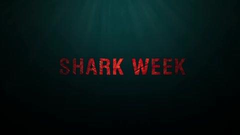 Shark Week - Trailer - Englisch