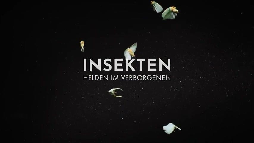 Insekten - Helden im Verborgenen - Teaser - Deutsch - SD
