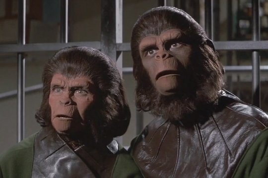 Flucht vom Planet der Affen - Szenenbild 3