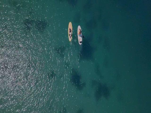 6-Headed Shark Attack - Trailer - Deutsch - SD