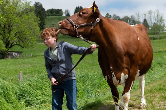 Tiere bis unters Dach - Staffel 10 - Szenenbild 5