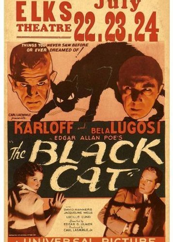 Die schwarze Katze - Poster 8