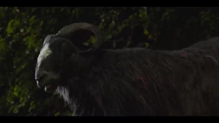 Glennkill - Ein Schafskrimi - Trailer - Englisch - SD